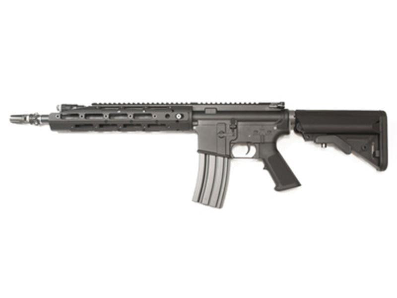 WE R5 AEG (WE-71021)