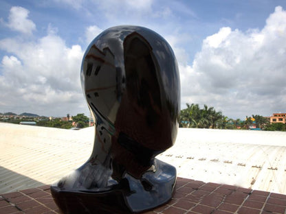 FMA Helmet Display Head (Polymer - Black - TB1139)