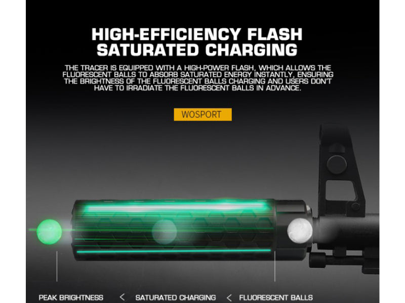 WoSport Synchronized Display and Silencer Set