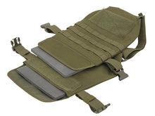 ACM Basic Plate Carrier Vest with with Dummy Plate (OD)