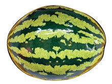 Daisy 3D Watermelon Target (Slime Oozing)