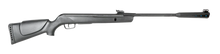GAMO WHISPER STING SPRING AIR RIFLE .22