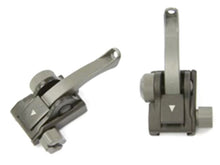 APS Dinosaurs Rear Sight