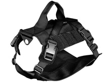 Big Foot Dog Training Molle Compact Vest (Black)