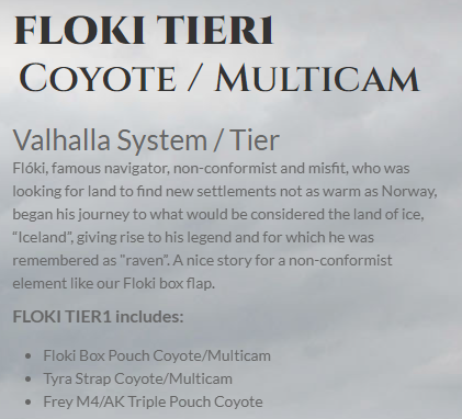 Ragnar Raids FLOKI TIER1 Coyote / Multicam Valhalla System / Tier (Vest)