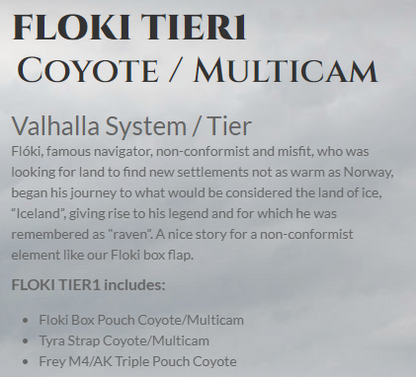 Ragnar Raids FLOKI TIER1 Coyote / Multicam Valhalla System / Tier (Vest)