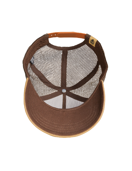 Ragnar Raids TYR Coyote Cap Street